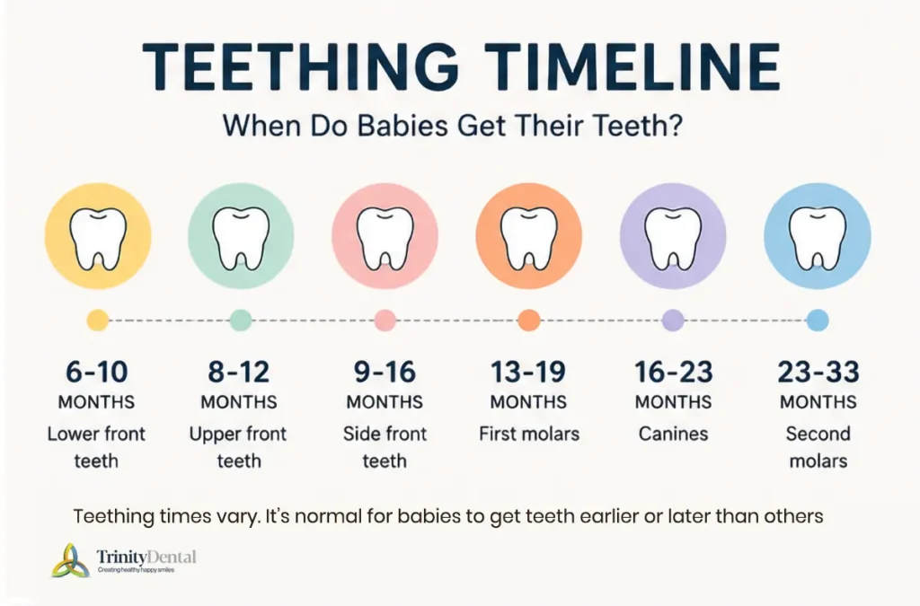 Baby teething timeline showing the stages of tooth eruption from first teeth to molars